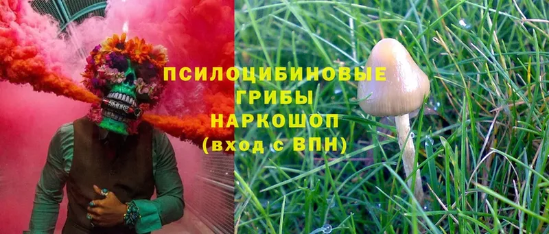 Галлюциногенные грибы Magic Shrooms  Покачи 